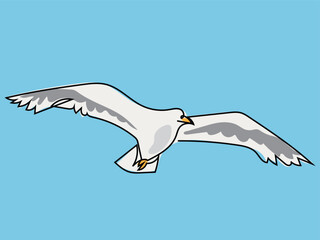 Seagull in continuous line drawing style.