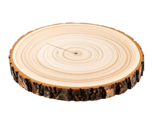 Oval Wood Slice Cut from Tree Trunk with Cracked Surface and Darkened Rings, Angled View, Isolated”