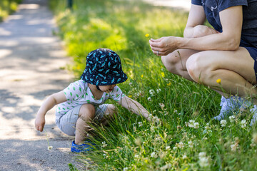 Boy Toddler Picking Wildflowers in Sunny Vancouver Park, Canada
