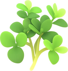 Obraz premium purslane