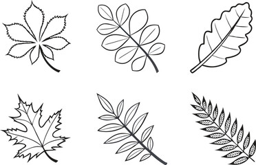 Fall Clipart Featuring Autumn Leaves and Seasonal Elements. Beautiful Fall Clipart Highlighting Cozy Colors and Harvest Themes. Minimalist Fall Clipart with Pumpkins Acorns and Rustic Details