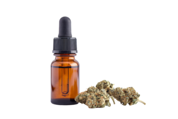 cbd oil bottle with cannabis buds on white background