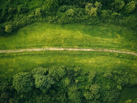 Scenic Aerial View of Lush Green Landscape and Dirt Pathway