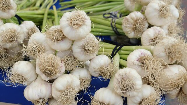 Fresh garlic bundles showcased at local market stand