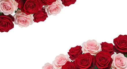 Floral Frame of Pink and Red Roses Illustration on Transparent Background