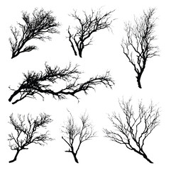 Obraz premium branch silhouette set, Black & White silhouette set