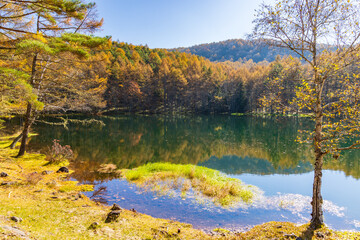 日本の風景・秋　長野県奥蓼科　紅葉の御射鹿池