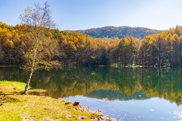 日本の風景・秋　長野県奥蓼科　紅葉の御射鹿池