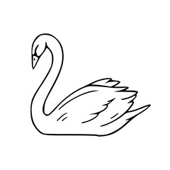 a line art drawing of a swan