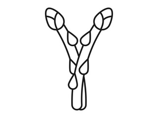 Asparagus icon. Fruits and vegetables outline icon. Simple vector illustration in modern thin line style.