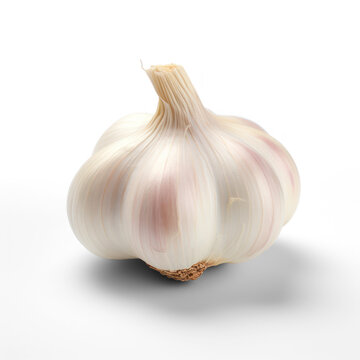 A single garlic bulb on a transparent background