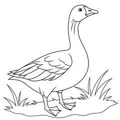 Black and white line art of a goose standing on grassy ground. Ideal for coloring pages, farm animal illustrations, educational materials, and nature-themed design projects.
