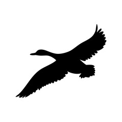 Obraz premium Black silhouette of a duck in flight with wings spread wide against a white background