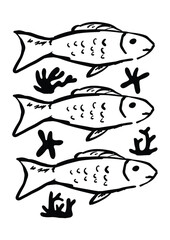 line drawing sardines fish illustration