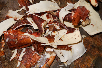 Fresh Cassava Skin Close-Up – Organic Texture for Natural Themes