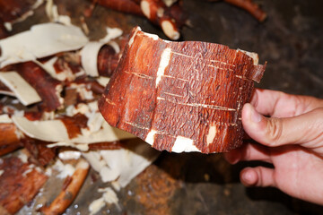 Fresh Cassava Skin Close-Up – Organic Texture for Natural Themes