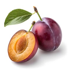 Jungle Plum Jewel &ndash; Rare and Colorful Wild Plum Presented on White Background