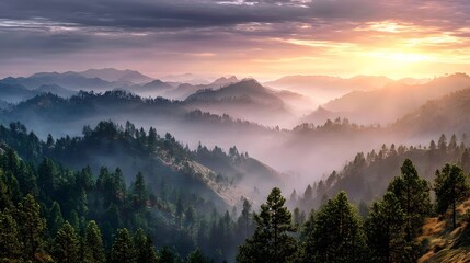 Obraz premium Breathtaking sunset over misty mountain ranges, creating a serene atmosphere with soft colors and towering pine trees.