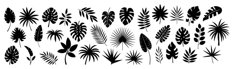 Collection of black silhouette tropical leaves for decorative design elements