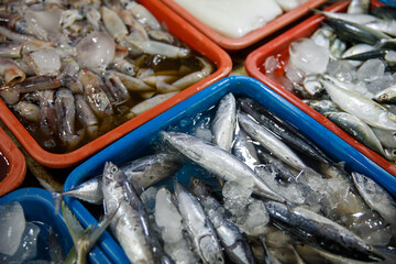 Assorted fresh fish on trays at seafood market display