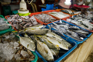 Assorted fresh fish on trays at seafood market display
