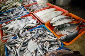 Assorted fresh fish on trays at seafood market display