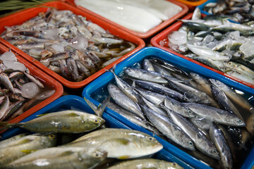 Asian fish market, fresh seafood assortment with various types of fish on trays