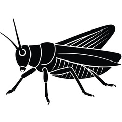 Grashoper vector silhouette Single collection 