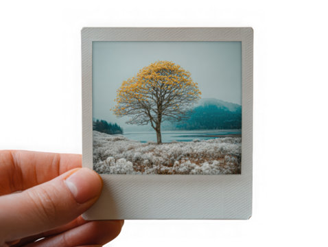 Lone autumn tree by lake with misty mountains isolated on transparent background - Powered by Adobe