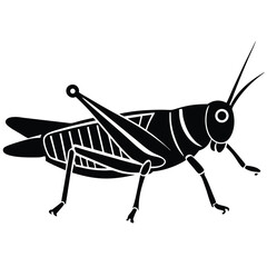 Grashoper vector silhouette Single collection 