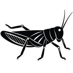 Grashoper vector silhouette Single collection 