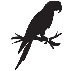 Parrot with tree branch silhouette, Parrot silhouette
