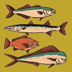 A hand-drawn retro set of sea fish including mackerel and mahi-mahi, illustrated in vintage style with bold colors and detailed fins.