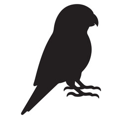 Parrot silhouette vector logo, exotic bird symbol for branding and design, wildlife animal.