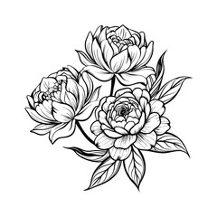 Hand-drawn peony flower bouquet. Black and white floral line art illustration. © Rejaul
