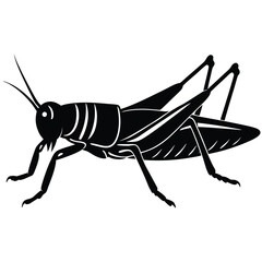 Grashoper vector silhouette Single collection 