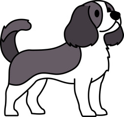 isolate illustration of a English Springer Spaniel dog