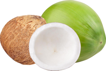 Coconut Isolated From Background