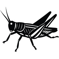 Grashoper vector silhouette Single collection 