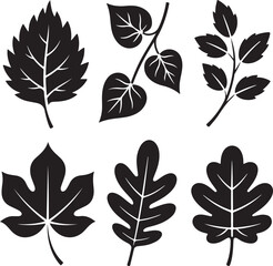 Fototapeta premium Black leaf silhouettes with veins and stems leaves nature