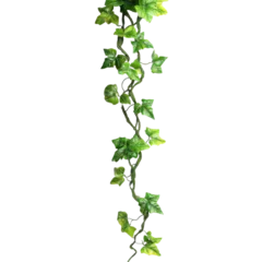 realistic tropical hanging vines with twisted stems and exotic flowers isolated on transparent background © Imam Lutfi