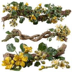realistic tropical hanging vines with twisted stems and exotic flowers isolated on transparent background