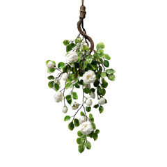 realistic tropical hanging vines with twisted stems and exotic flowers isolated on transparent background