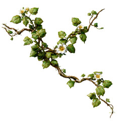 realistic tropical hanging vines with twisted stems and exotic flowers isolated on transparent background
