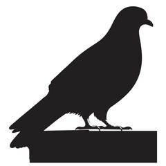 Simple and adorable flat colored Pigeon illustration in silhouette