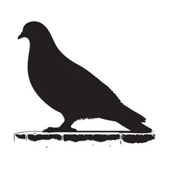 Fototapeta premium Simple and adorable flat colored Pigeon illustration in silhouette