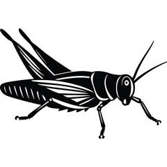 Grashoper vector silhouette Single collection 