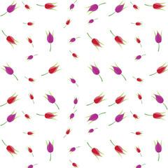 Seamless Floral Bud Pattern with Red and Purple Tulips on White Background