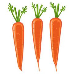 Three bright orange carrots with green tops isolated on transparent background