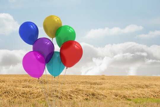 Fototapeta Flat design featuring eight helium balloons floating above stubble field under blue sky, copy space